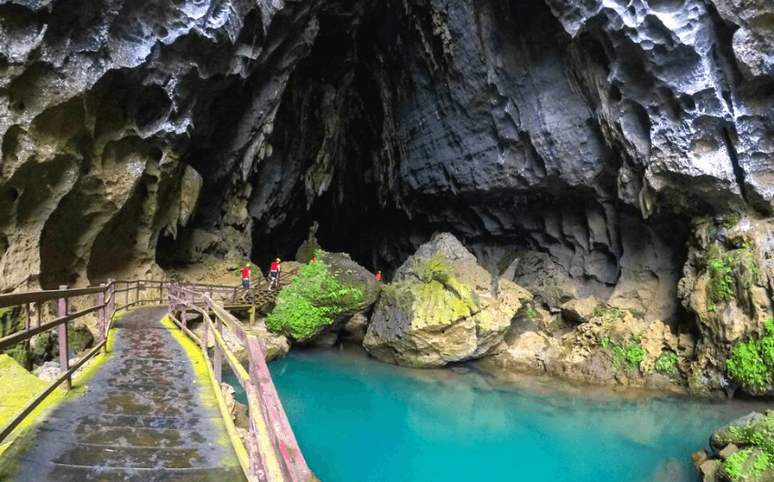 Indochinese tigers at Phong Nha-Ke Bang National Park